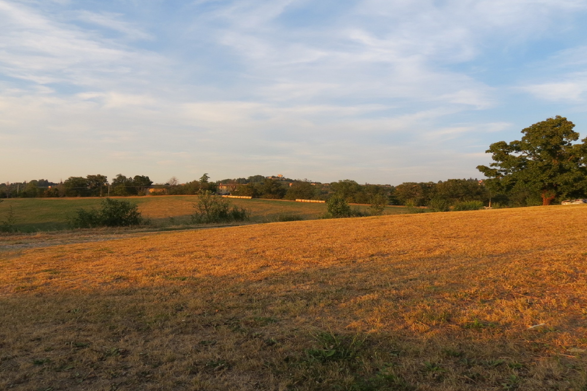 Eventi feste e sagre future